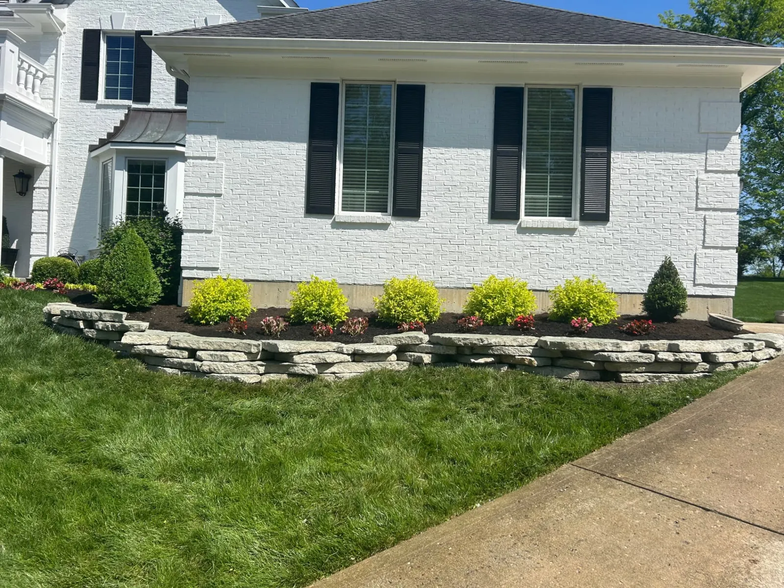 Foundation bed with stacked stone wall and golden shrubs