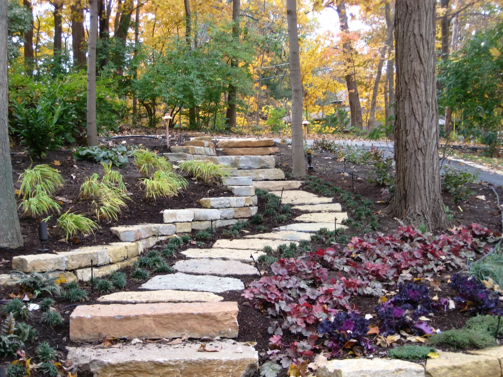 Natural limestone steps climbing a wooded hillside with landscape lighting