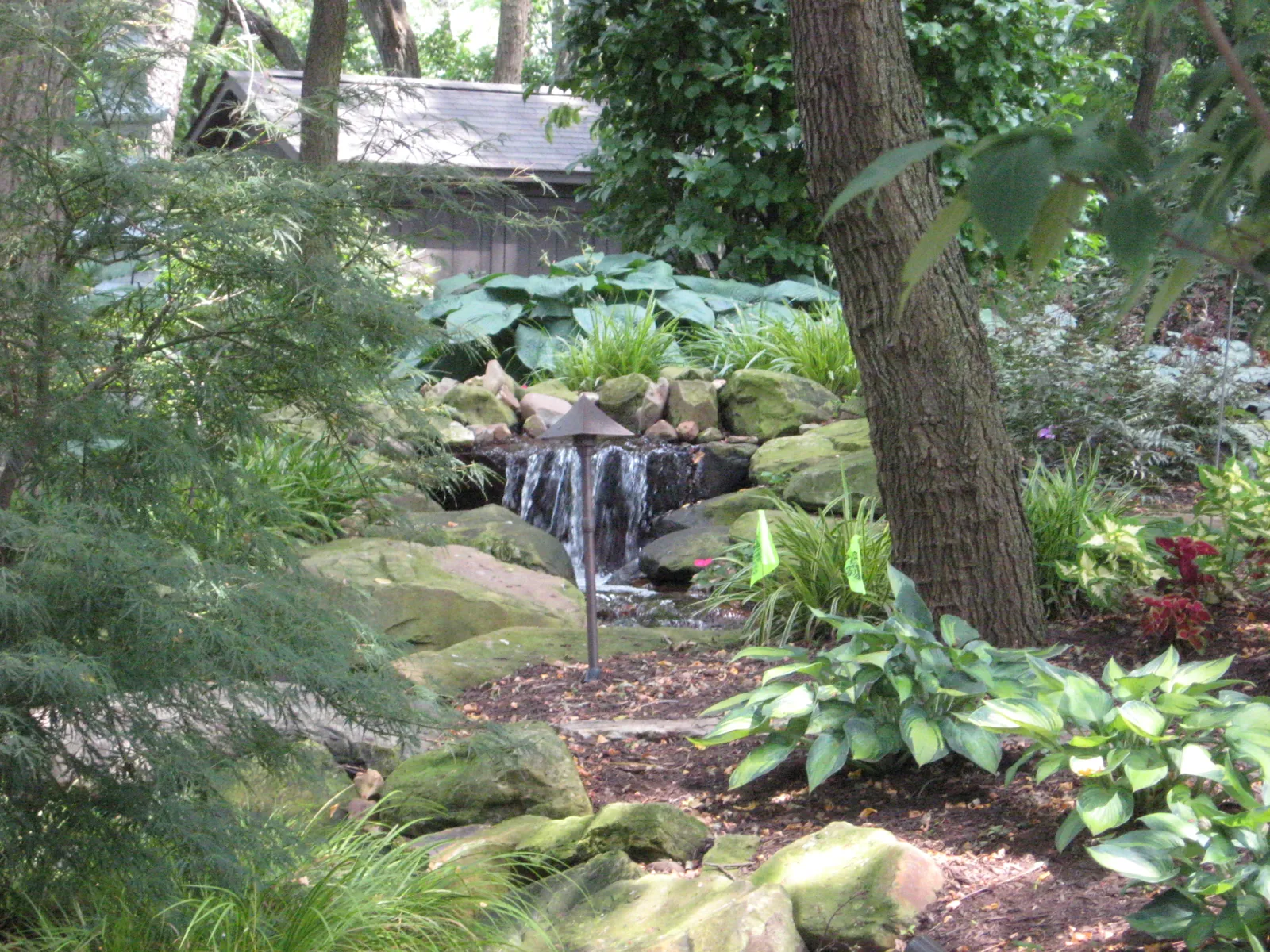 Boulder waterfall tucked into a shaded hosta and fern garden