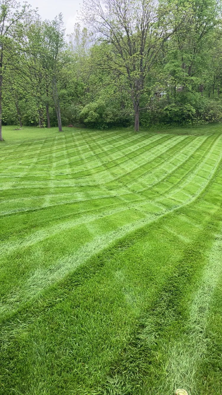 Freshly striped green lawn maintained by TJs Landscaping