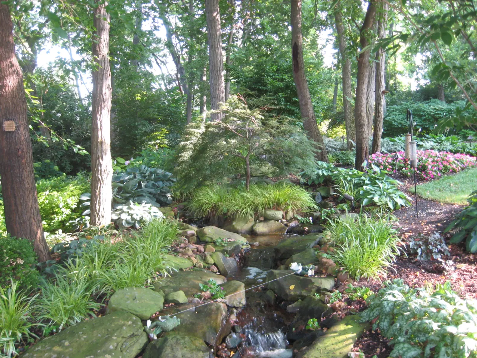 Newly installed hillside planting bed by TJ's Landscaping