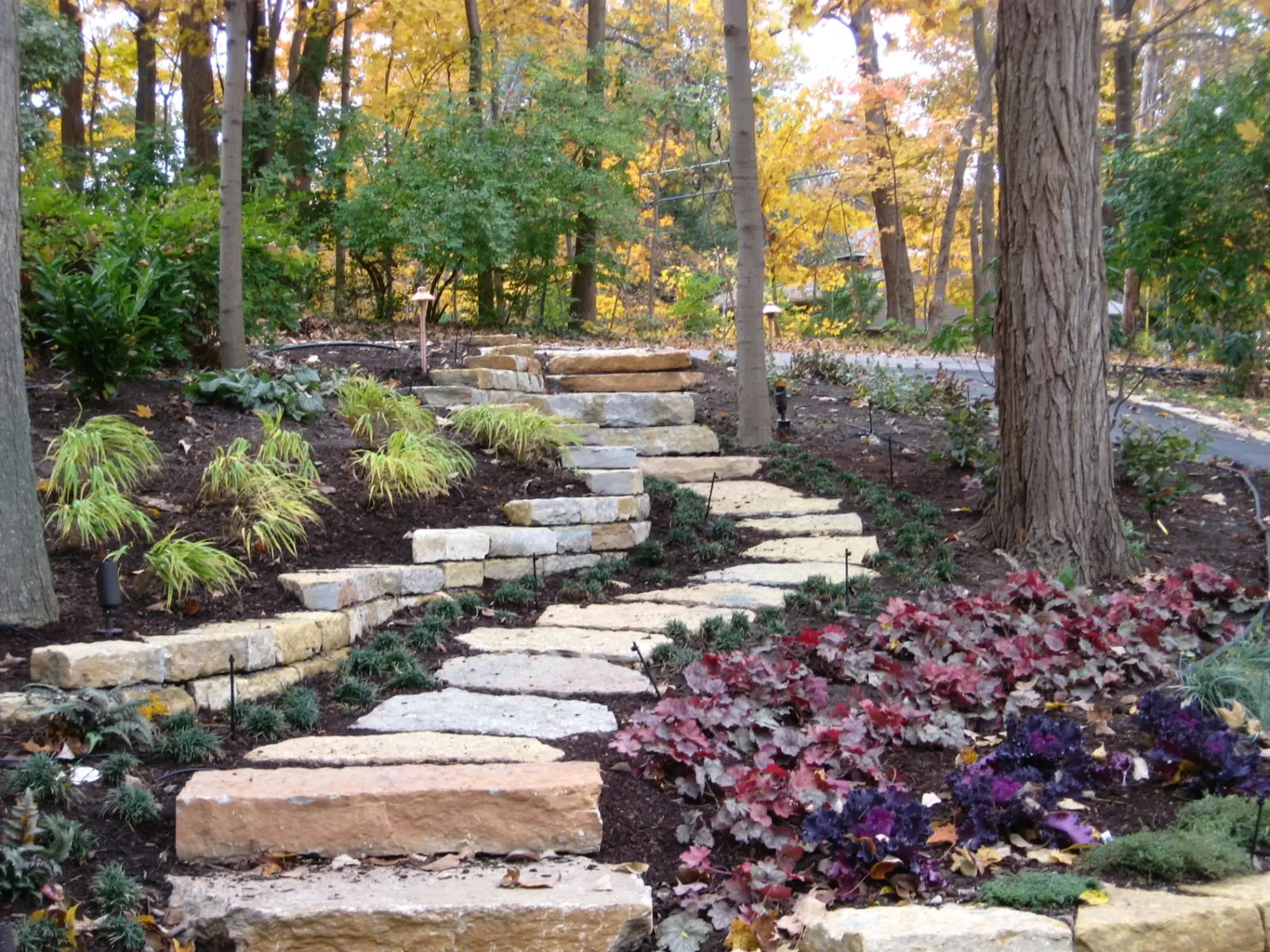 Curved natural limestone steps through a planted landscape
